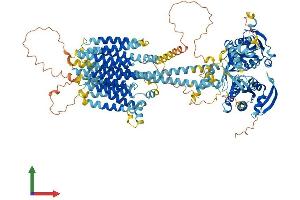 AlphaFold protein structure predicition of Mouse Recombinant Adcy7 Protein, UniprotID P51829