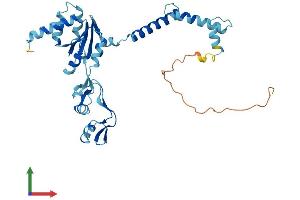 AlphaFold protein structure predicition of Mouse Recombinant Rplp0 Protein, UniprotID P14869