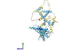 AlphaFold protein structure predicition of Mouse Recombinant Gtf2h1 Protein, UniprotID Q9DBA9