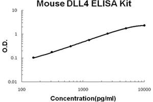 Mouse DLL4 PicoKine ELISA Kit standard curve (DLL4 Kit ELISA)