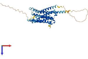AlphaFold protein structure predicition of Mouse Recombinant Htr1d Protein, UniprotID Q61224
