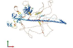 AlphaFold protein structure predicition of Mouse Recombinant Trim24 Protein, UniprotID Q64127