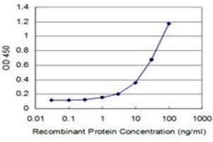 Detection limit for recombinant GST tagged MEOX2 is approximately 1ng/ml as a capture antibody. (MEOX2 anticorps  (AA 1-303))