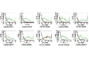 BOSC23 cells were transiently transfected with expression vectors containing either the cDNA of CEACAM1, CEACAM3-8 or CEACAM19-21. (CEACAM19 anticorps)