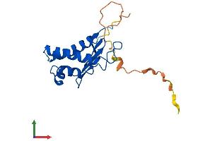 AlphaFold protein structure predicition of Mouse Recombinant Btg1 Protein, UniprotID P62325