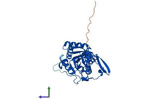 AlphaFold protein structure predicition of Human Recombinant UPP1 Protein, UniprotID Q16831