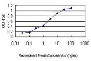 Detection limit for recombinant GST tagged FKSG14 is approximately 0.
