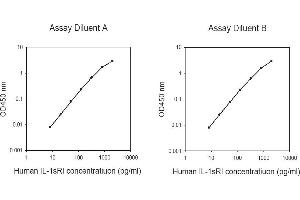 ELISA image for Interleukin 1 Receptor, Type I (IL1R1) ELISA Kit (ABIN625317)