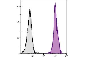 BALB/c mouse splenocytes were stained with Rat Anti-Mouse CD45-UNLB.