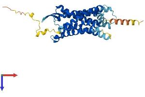 AlphaFold protein structure predicition of Human Recombinant C5AR2 Protein, UniprotID Q9P296