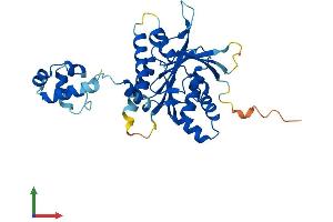 AlphaFold protein structure predicition of Human Recombinant RAD51D Protein, UniprotID O75771