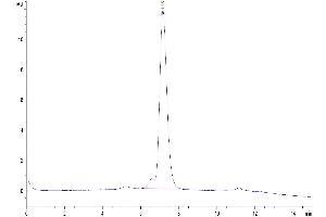The purity of Human OX40 Ligand Trimer is greater than 95 % as determined by SEC-HPLC.