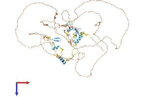 AlphaFold protein structure predicition of Human Recombinant ZNF185 Protein, UniprotID O15231