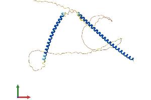 AlphaFold protein structure predicition of Mouse Recombinant Knstrn Protein, UniprotID Q9D9Z1