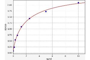 Mesothelin (MSLN) ELISA Kit