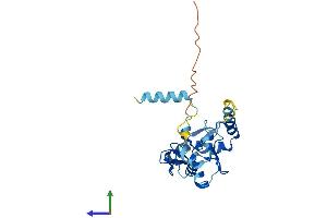 AlphaFold protein structure predicition of Human Recombinant RNF114 Protein, UniprotID Q9Y508