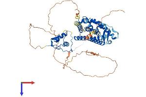AlphaFold protein structure predicition of Mouse Recombinant Esr2 Protein, UniprotID O08537