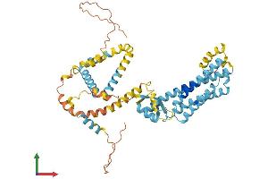 AlphaFold protein structure predicition of Mouse Recombinant Plin5 Protein, UniprotID Q8BVZ1
