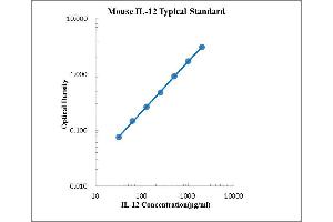 ELISA image for Interleukin 12 (IL12) ELISA Kit (ABIN2472094)