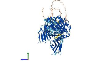 AlphaFold protein structure predicition of Human Recombinant VWA5A Protein, UniprotID O00534