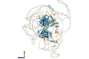AlphaFold protein structure predicition of Mouse Recombinant Eif4g3 Protein, UniprotID Q80XI3