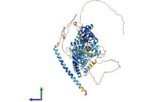 AlphaFold protein structure predicition of Mouse Recombinant Rasgrp1 Protein, UniprotID Q9Z1S3