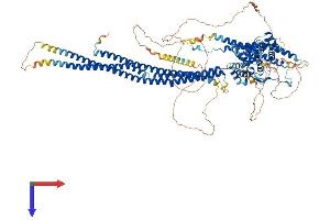 AlphaFold protein structure predicition of Human Recombinant SRGAP2 Protein, UniprotID O75044