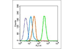 MCF-7 cells probed with Estrogen Receptor alpha Antibody, unconjugated  at 1:100 dilution for 30 minutes compared to control cells (blue) and isotype control (orange) (Estrogen Receptor alpha anticorps  (AA 501-600))