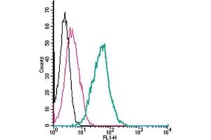 Cell surface detection of EphA1 by direct flow cytometry in live intact mouse J774 macrophage cells: + Rabbit IgG isotype control-FITC.