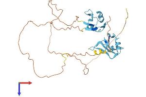 AlphaFold protein structure predicition of Human Recombinant HNRNPH3 Protein, UniprotID P31942