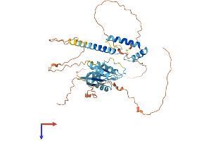 AlphaFold protein structure predicition of Human Recombinant SOHLH2 Protein, UniprotID Q9NX45