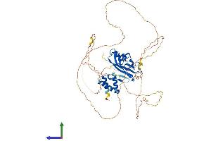 AlphaFold protein structure predicition of Human Recombinant MLLT3 Protein, UniprotID P42568