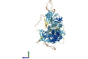 AlphaFold protein structure predicition of Human Recombinant ATP13A2 Protein, UniprotID Q9NQ11