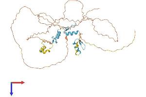 AlphaFold protein structure predicition of Human Recombinant SP7 Protein, UniprotID Q8TDD2