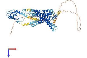 AlphaFold protein structure predicition of Human Recombinant GLP2R Protein, UniprotID O95838