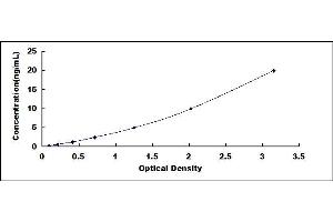 Typical standard curve (CDK8 Kit ELISA)