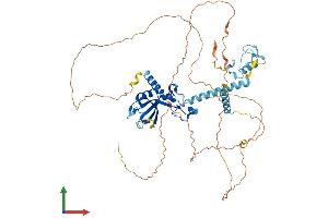 AlphaFold protein structure predicition of Mouse Recombinant Cnot4 Protein, UniprotID Q8BT14