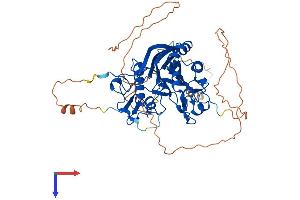 AlphaFold protein structure predicition of Human Recombinant ANGEL2 Protein, UniprotID Q5VTE6