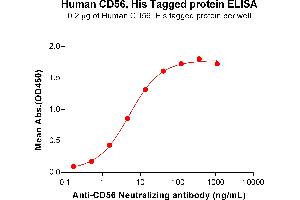 ELISA plate pre-coated by 2 μg/mL (100 μL/well) Human CD56 Protein, His Tag (ABIN7092681, ABIN7272212 and ABIN7272213) can bind Anti-CD56 Neutralizing antibody ABIN7478001 and ABIN7490940 in a linear range of 0.
