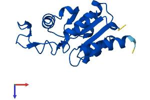 AlphaFold protein structure predicition of Mouse Recombinant Mdp1 Protein, UniprotID Q9D967