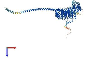 AlphaFold protein structure predicition of Human Recombinant FBXL13 Protein, UniprotID Q8NEE6