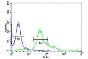 S100A6 antibody flow cytometric analysis of HeLa cells (right histogram) compared to a negative control (left histogram). (S100A6 anticorps  (AA 37-67))