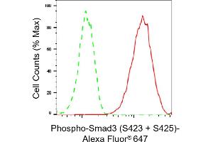 Flow cytometric analysis of Phospho-Smad3 (S423 + S425) expression in HAP-1 cells using Phospho-Smad3 (S423 + S425) antibody (ABIN7800373), 1:2,000). (Recombinant SMAD3 anticorps  (pSer423, pSer425))