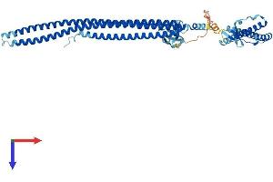 AlphaFold protein structure predicition of Mouse Recombinant Nostrin Protein, UniprotID Q6WKZ7