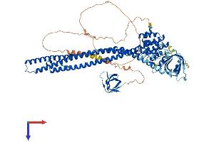 AlphaFold protein structure predicition of Mouse Recombinant Arhgap26 Protein, UniprotID Q6ZQ82