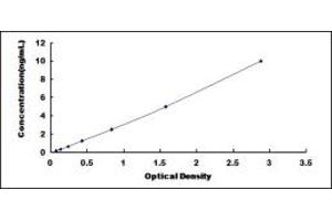 Typical standard curve (PCDHB16 Kit ELISA)
