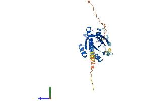AlphaFold protein structure predicition of Human Recombinant RAB33A Protein, UniprotID Q14088