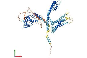 AlphaFold protein structure predicition of Human Recombinant KCNV2 Protein, UniprotID Q8TDN2
