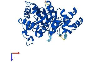 AlphaFold protein structure predicition of Mouse Recombinant Akr1e2 Protein, UniprotID Q9DCT1