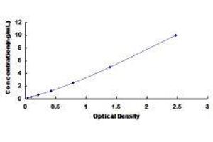 ELISA image for Deoxyribonuclease X (DNASEX) ELISA Kit (ABIN420463)